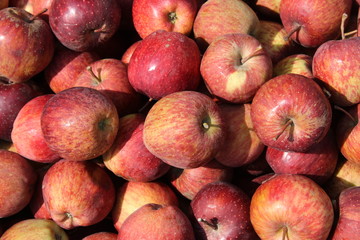 Fresh red apple in the market.