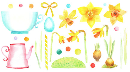 Yellow narcissus Clip art cute set, blue tea mug, pink coffee pot, easter egg, narcissus bulb. Hand  painted floral watercolor stock  illustration. Perfect for  easter invitations cards, decoration.