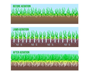 After and Before Lawn Aeration stage illustration. Gardening long grass lawn care, landscaping service. Vector stock design isolated on white - 305439987