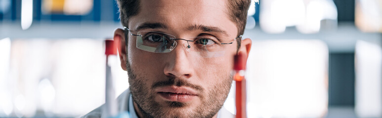 Fototapeta premium panoramic shot of handsome immunologist looking at test tubes