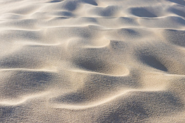 Sand und Dünenlandschaft auf Sylt - 305440724
