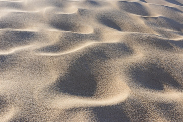 Sand und Dünenlandschaft auf Sylt - 305440758