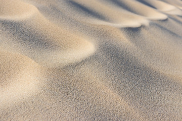 Sand und Dünenlandschaft auf Sylt - 305440910