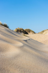 Sand und Dünenlandschaft auf der Insel Sylt - 305440983