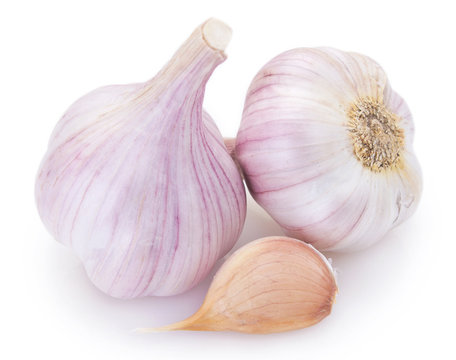 Fresh garlic on white background