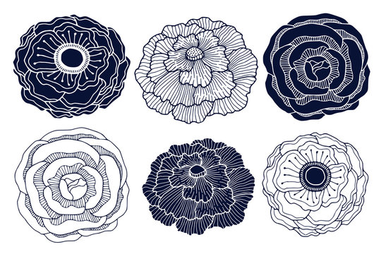 Floral silhouette and linear art design. Interior sticker print with roses, anemone and peony flower. Botanical flowers decoration for invitation card and boutique logo
