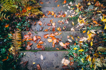 Treppe der Natur