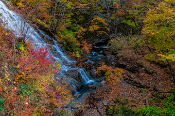 紅葉と滝