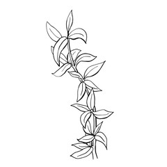 set of hand drawn ink sketch spring branch plants with leaves - vector illustration