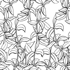 Sketch branch of leaves by hand on an isolated background seamless pattern