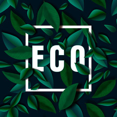 Eco banner with leaves