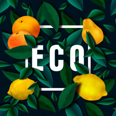Eco banner with fruits