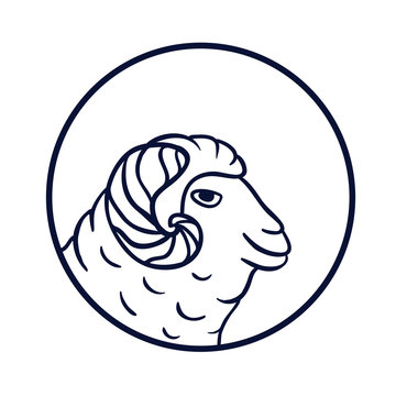 Lamb illustration in linear art style. Vector logotype with cute sheep.