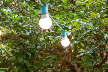 Fio com lampadas no jardim