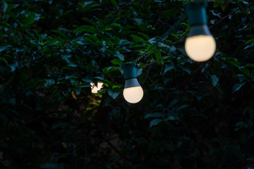 Fio com lampadas no jardim