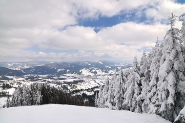 Mountain landscape with snowy forest