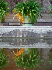 Spiegelung