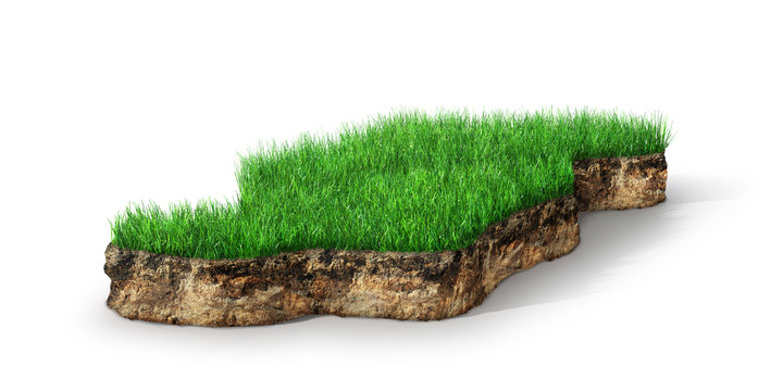 grassy section with cross section of soil geology, 3D illustration