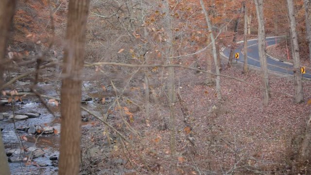 Rock Creek and Beach Drive with three runners  - Rock Creek Park - Washington, DC - Autumn
