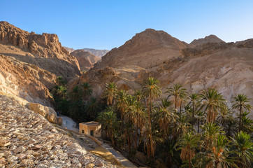 Obraz premium Oaza na Saharze obok zrujnowanej osady Chebika w Tunezji