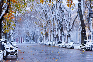  Boulevard with fallen yellow leaves and the first snow. Benches covered with snow along the alley....