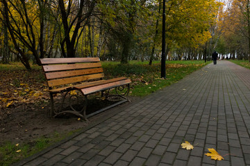 wooden bench in the autumn park