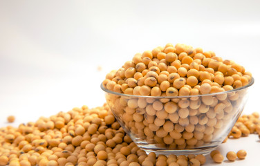 Soybeans background . Dry Soy bean or soya bean in a bowl with some soybeans in wooden spoon on white background