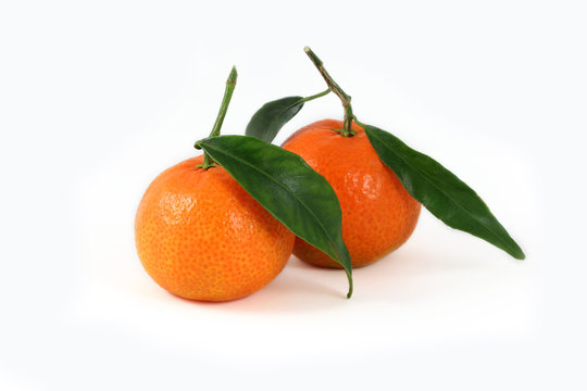 Two fresh corsican clementines with leaves isolated on white