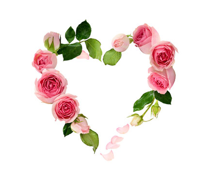 Pink rose flowers, buds and petals in a heart shape arrangement