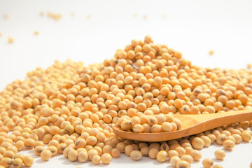 Soybeans background . Dry Soy bean or soya bean in a bowl with some soybeans in wooden spoon on white background