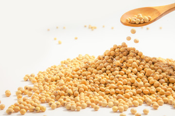 Soybeans background . Dry Soy bean or soya bean in a bowl with some soybeans in wooden spoon on white background