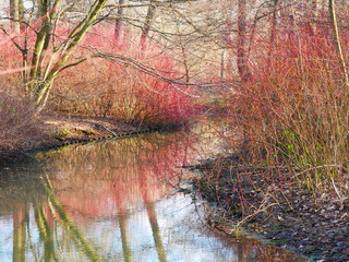 Landschaft