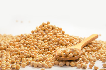 Soybeans background . Dry Soy bean or soya bean in a bowl with some soybeans in wooden spoon on white background