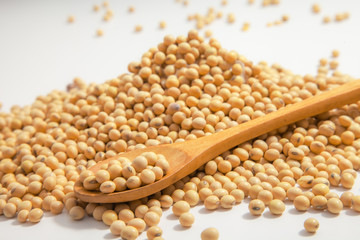 Soybeans background . Dry Soy bean or soya bean in a bowl with some soybeans in wooden spoon on white background