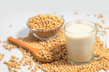 Soy milk pouring in glass and soy bean or soya bean . Alternative Soy milk healthy concept.