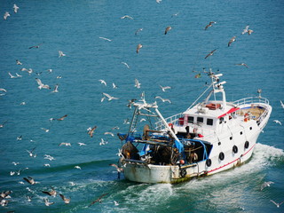 Fischkutter