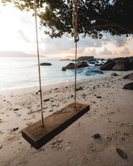 Amazing Travel landscape during Sunset on La digue with beautiful view on a swing  and the indian...
