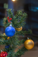 Christmas balls on the Christmas tree branch. Selective focus