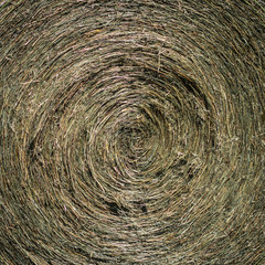 Close up texture of a bale of hay.