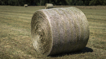 Bales of hay on the landscape.