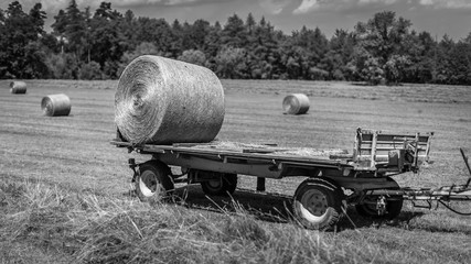 Black and white bales of hay on a trailer.