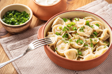 Meat filled dumplings, pelmeni, Russian cuisine.