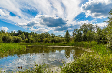 View of the lake in Karkino, Kirov region