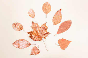 Maple, birch and other leaves are painted with bronze paint. Light background. Stylish concept, minimalism, flat lay, top view.