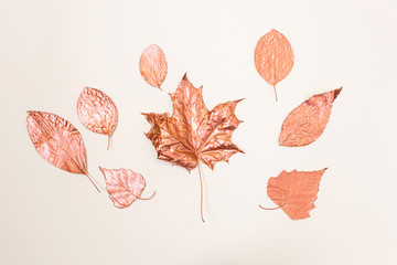 Maple, birch and other leaves are painted with bronze paint. Light background. Stylish concept,...