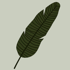 tropical line leaf on light green background vector illustartion