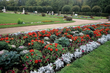 Flowerbed with red flowers in the park Kuskovo Moscow