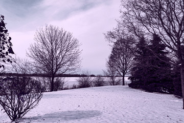winter landscape with trees and road