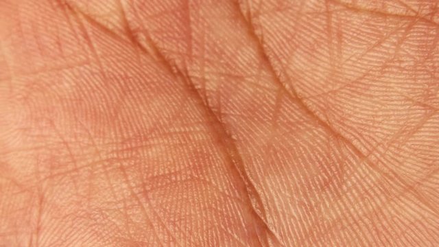 Close up macro shot of the skin surface texture and lines of human hands palms ,  Detailed view of hand palm , Medicine and dermatology concept