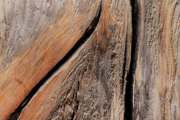 Surface of old textured wooden board for background